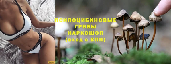ALPHA-PVP Новодвинск