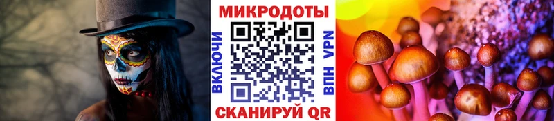 Псилоцибиновые грибы Magic Shrooms  МЕГА сайт  Новоуральск  где купить наркотик 