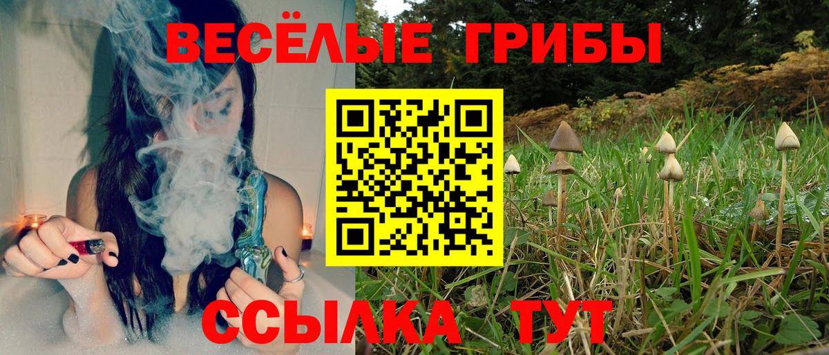 Псилоцибиновые грибы Psilocybine cubensis Новоуральск